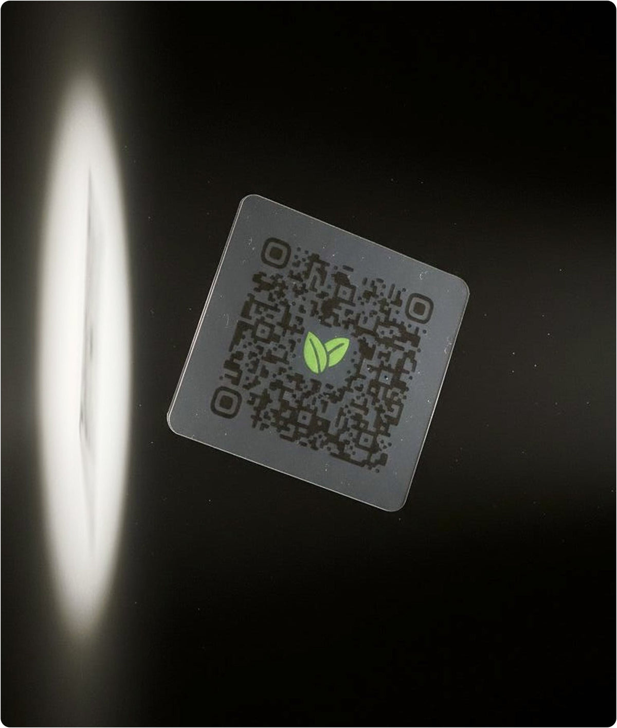 Après: Daily Metabolizer - Vita 