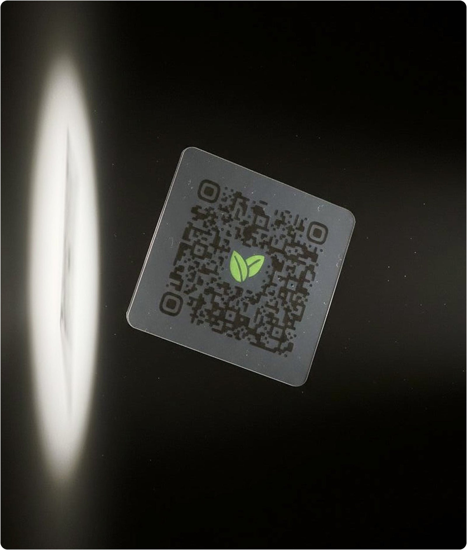 Après: Daily Metabolizer - Vita 